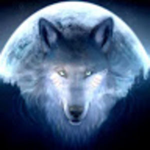 Meet your Posher, Leonnight